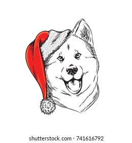 Akita dog in Santa Claus hat illustration