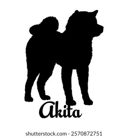 Akita. dog silhouette, dog breeds, logo, vector, silhouette,  animal, illustration, icon, sign, design, black, symbol, pet, love
