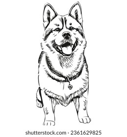Akita dog silhouette pet character, clip art vector pets drawing black and white sketch drawing