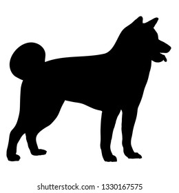 Akita dog in standing. Side view. Silhouette. Vector illustration