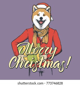Akita dog vector Christmas concept. Illustration of dog  in human suit with gift in his hads celebrating new year