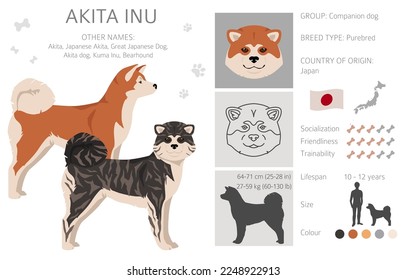 Akita Inu all colours clipart. Different coat colors set. Vector illustration