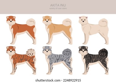 Akita Inu all colours clipart. Different coat colors set. Vector illustration