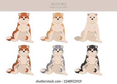 Akita Inu all colours clipart. Different coat colors set. Vector illustration