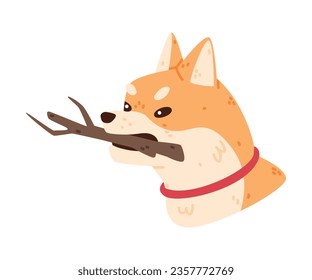 Akita Inu Dog Carry Tree Stick Vector Illustration