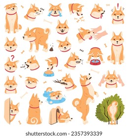 Akita Inu Dog and Domestic Animal or Pet in Different Situation Vector Set