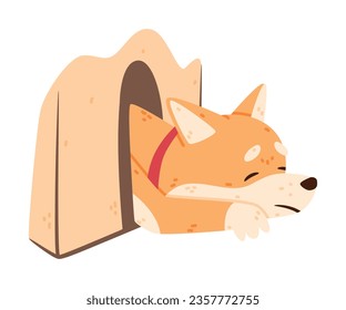 Akita Inu Dog and Domestic Animal or Pet Sleep in Kennel Vector Illustration