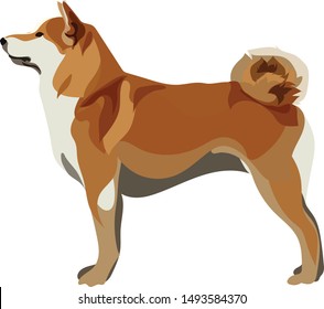 akita inu dog flat design