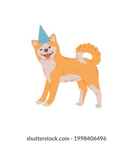 Akita inu dog japanese or american breed. Cute pet in holiday hat, large shorthair animal. Vector flat cartoon isolated illustration for greeting christmas or birthday cards.
