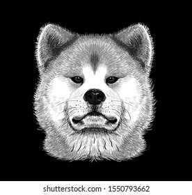 Akita Inu dog portrait cartoon	
