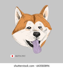 Akita Inu dog portrait and japanese flag. Hand drawn dog head.