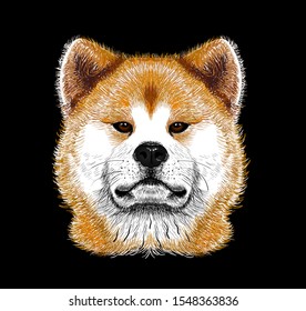 Akita Inu dog portret cartoon