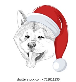 Akita Inu dog wearing Christmas hat and panting. Hand drawn holiday pet shows tongue for greeting card.