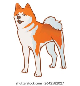 akita inu cão com fundo branco separado