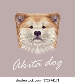 Akita Inu Japanese Dog. Vector Illustrated Portrait of Dog on grey background.