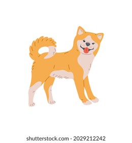 Akita inu oder shiba inu Hund. Feine japanische Haustierrasse, lustiges Tier, freundlicher Hundewelpen. Flache Cartoon, Vektorgrafik einzeln auf weißem Hintergrund.