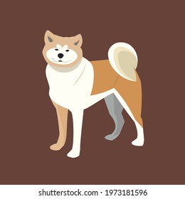 Akita inu vector cartoon illustration. Cute friendly akita inu puppy smiling isolated on pink backgroud