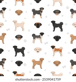 Akita Poodle mischen nahtlose Muster. Aki Poo clipart. Verschiedene Fellfarben eingestellt.  Vektorgrafik