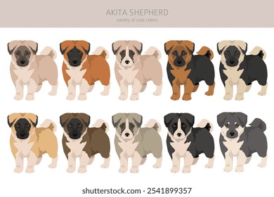 Akita Shepherd clipart. Akita Inu German Shepherd mix. Different coat colors set.  Vector illustration