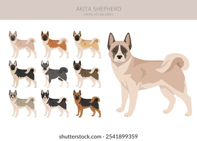 Akita Shepherd clipart. Akita Inu German Shepherd mix. Different coat colors set.  Vector illustration