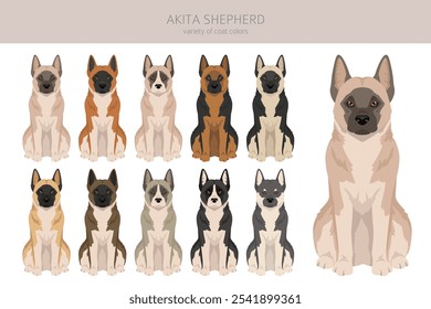 Akita Shepherd clipart. Akita Inu German Shepherd mix. Different coat colors set.  Vector illustration