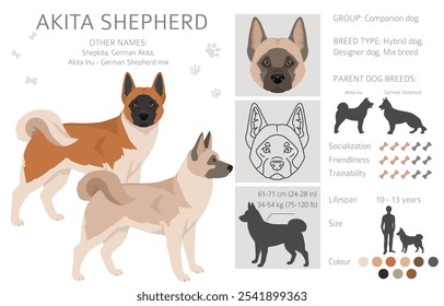 Akita Shepherd clipart. Akita Inu German Shepherd mix. Different coat colors set.  Vector illustration