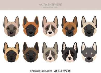 Akita Shepherd clipart. Akita Inu German Shepherd mix. Different coat colors set.  Vector illustration