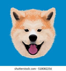 akita vector illustration