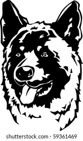 Akita Vector Illustration