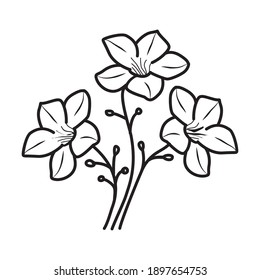 Alamanda Floral Hand Drawn. Vector Design Illustration Sign Logo.