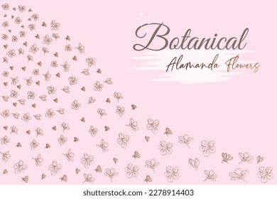 Alamanda line flowers.
frame and pink background vector illustration.