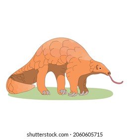 Alamy
Pangolin or scaly anteater, a scales covered mammal from tropical areas such as Africa and Asia.