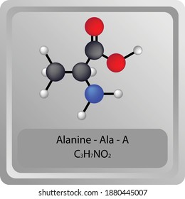 Alanine – Ala – A Amino Acid chemical structure. Molecular formula ball and stick model of Alanine Molecule. Biochemistry class, Biological and Chemical vector illustration.