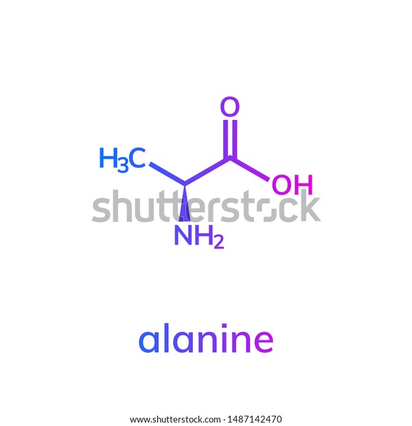 Alanine Ala Amino Acid Chemical Formula Stock Vector (Royalty Free) 1487142470