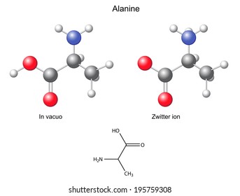 Alanine (Ala) - chemical structural formula and models, amino acid, in vacuo, zwitterion, 2D and 3D illustration, balls and sticks, isolated on white background, vector, eps8