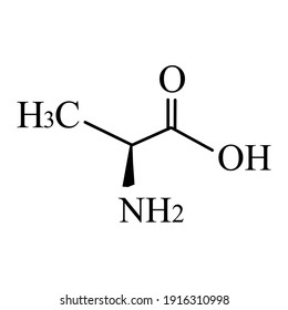 Alanin ist eine Aminosäure. Chemische Molekülformel Alanin-Aminosäure. Vektorgrafik auf isoliertem Hintergrund