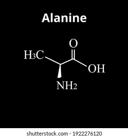 Alanin ist eine Aminosäure. Chemische Molekülformel Alanin-Aminosäure. Vektorgrafik auf isoliertem Hintergrund