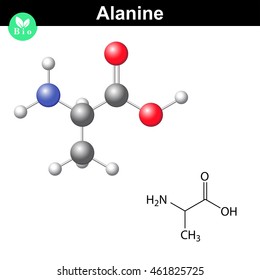 Alanine chemical structure and model, 2d and 3d illustration, vector on white background, eps 8