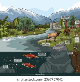 
Alaska food web. explains the complex interactions between various animal and plant species in Alaska's ecosystems and their habitats. presents a brief overview of Alaska's rich and complex ecology.