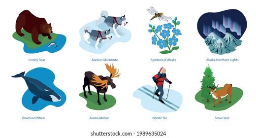 Alaska isometric compositions with nordic ski malamute dogs northern lights grizzly bear bowhead whale deer vector illustration