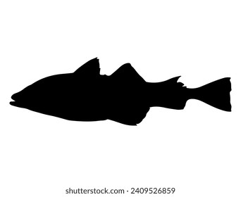Alaska Pollock Fish silhouette vector art