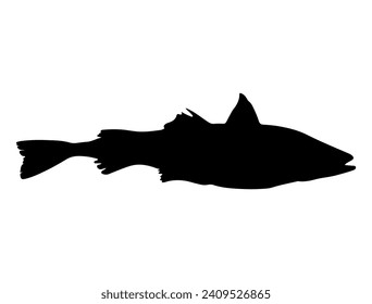 Alaska Pollock Fish silhouette vector art