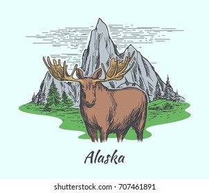 Alaska poster. Moose, fir forest and mountains. Hand drawn style. Vector illustration