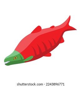 Alaska red fish icon isometric vector. Arctic nature. North state