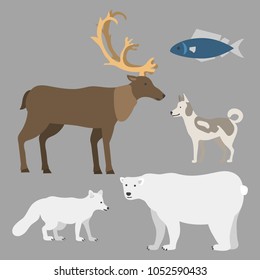 Alaska vector state symbols flat style america travel animal national geographic outdoor wildlife north arctic concept illustration