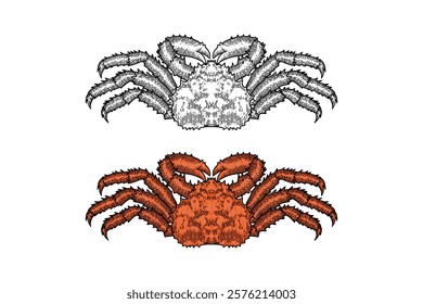 Alaskan crab illustration in engraving style