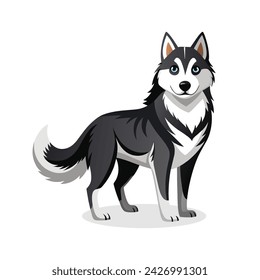 Alaskan husky animal vector illustration on white background
