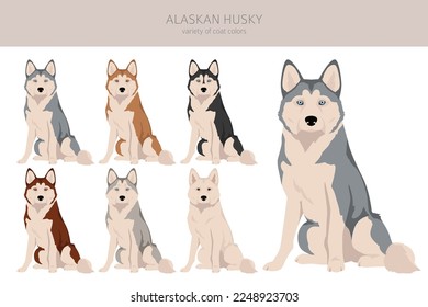 Alaskan husky clipart. Different poses, coat colors set.  Vector illustration