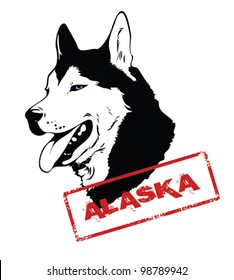 Alaskan husky dog - vector illustration