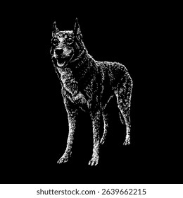 Alaskan Husky hand drawing vector isolated on black background.